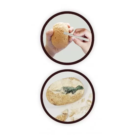 Set 12 oua Dino Mega