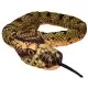 Jucarie plus Sarpe Anaconda Wild Republic 137 cm Jucarie plus Sarpe Anaconda Wild Republic 137 cm