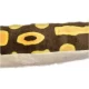 Jucarie plus Sarpe Ball Phyton 137 cm Jucarie plus Sarpe Ball Phyton 137 cm