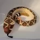 Jucarie plus sarpe Western Diamondback Wild Republic 141 cm Jucarie plus sarpe Western Diamondback Wild Republic 141 cm