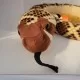 Jucarie plus sarpe Western Diamondback Wild Republic 141 cm Jucarie plus sarpe Western Diamondback Wild Republic 141 cm