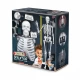 Set educativ Schelet 85 cm Set educativ Schelet 85 cm