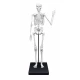 Set educativ Schelet 85 cm Set educativ Schelet 85 cm