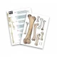 Set educativ Schelet 85 cm Set educativ Schelet 85 cm