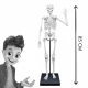 Set educativ Schelet 85 cm Set educativ Schelet 85 cm
