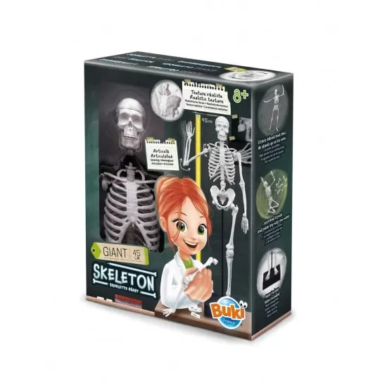 Jucarie educativa - Schelet Gigant 45 cm Jucarie educativa - Schelet Gigant 45 cm