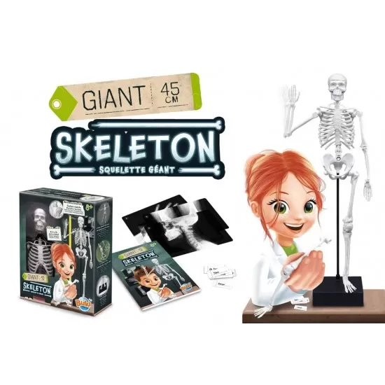 Jucarie educativa - Schelet Gigant 45 cm Jucarie educativa - Schelet Gigant 45 cm