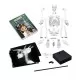 Jucarie educativa - Schelet Gigant 45 cm Jucarie educativa - Schelet Gigant 45 cm