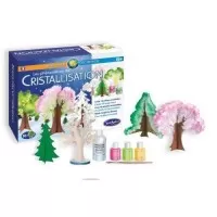 Kit experimente - Fenomenul de cristalizare
