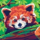 Pictura pe numere - Panda rosu si Shiba Pictura pe numere - Panda rosu si Shiba