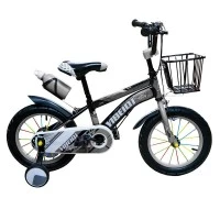 Bicicleta copii 12 inch cu cosulet, argintiu
