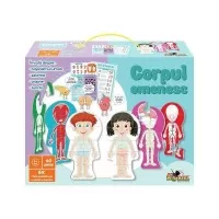 Puzzle Corpul omenesc