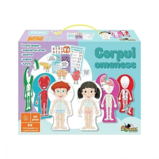 Puzzle Corpul omenesc Puzzle Corpul omenesc