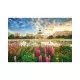 Puzzle 1000 piese Piata Unirii Puzzle 1000 piese Piata Unirii