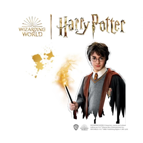 Set creativ 4 tablouri cu diamante Harry Potter