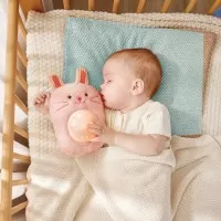 Jucarie de plus muzicala - Soricelul Huggy Roro