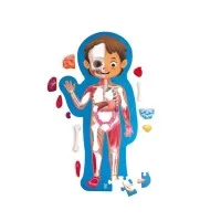 Puzzle pentru copii Hape - Corpul Uman 61 piese