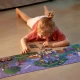 Puzzle pentru copii fluorescent cu Dinozauri (200 piese, 1.5m) Puzzle pentru copii fluorescent cu Dinozauri (200 piese, 1.5m)