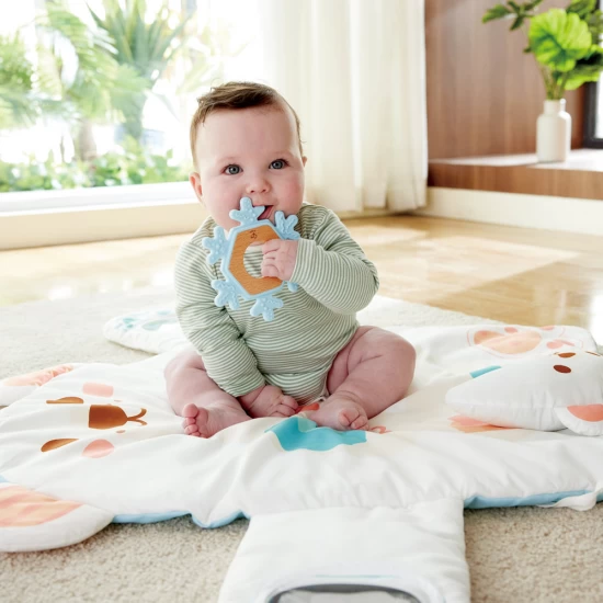 Salteluta bebe cu activitati senzoriale Ursulet Hape