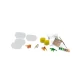 Set creativ - Exploreaza fosile de Dinozaur Set creativ - Exploreaza fosile de Dinozaur