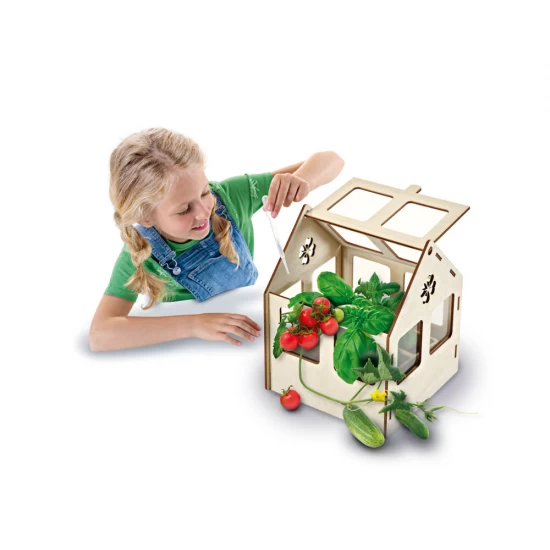 Set creativ - Sera de legume Set creativ - Sera de legume