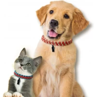 Set creativ copii - Zgarde pentru animale de companie