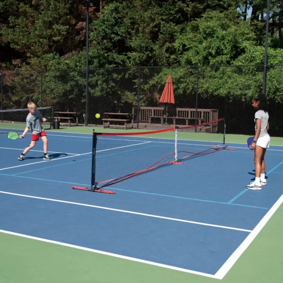 Joc de exterior cu mingi Pickleball Joc de exterior cu mingi Pickleball