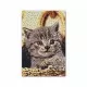 Set margele de calcat Beedz Art - Pisica Set margele de calcat Beedz Art - Pisica