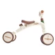 Tricicleta pentru copii cu maner Hape Step by Step