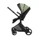 Carucior transformabil 2 in 1 Skiddou Nasjo Wild Climber Verde Carucior transformabil 2 in 1 Skiddou Nasjo Wild Climber Verde