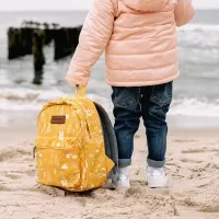 Rucsac copii de gradinita Skiddou Harri