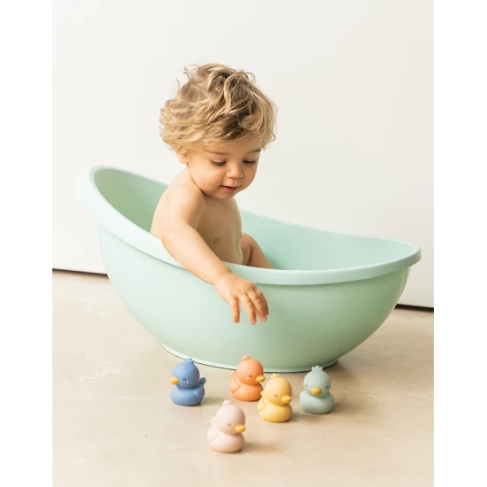 Set jucarii de baie Little Ducks