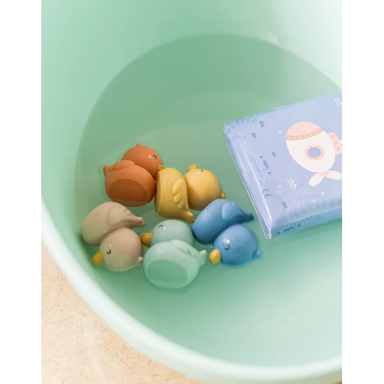 Set jucarii de baie Little Ducks